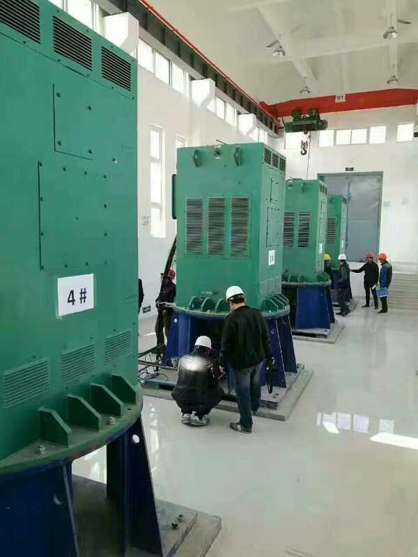 YKK4002-6/200KW某污水处理厂使用我厂的立式高压电机安装现场