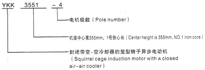 YKK系列(H355-1000)高压YKK4002-6/200KW三相异步电机西安泰富西玛电机型号说明